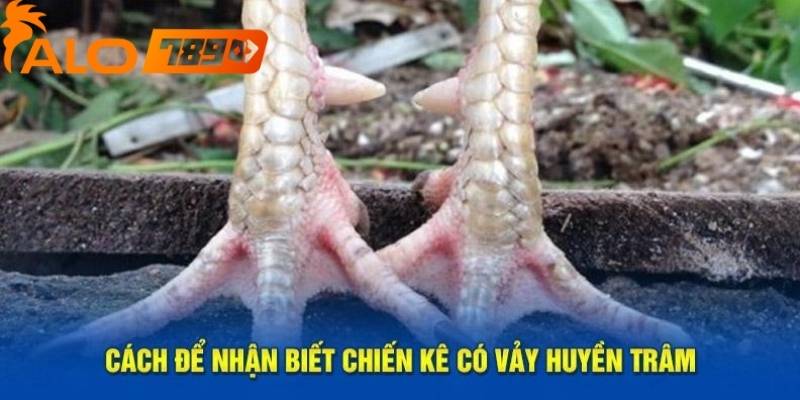 Người chơi cần quan sát vị trí liên kết các vảy với nhau