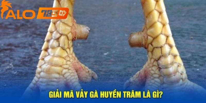 Tìm hiểu về hướng mọc vảy gà huyền trâm