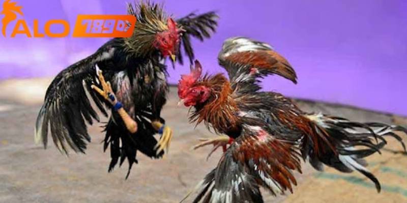 Một ưu điểm nổi bật là đem đến cho người chơi trải nghiệm kịch tính